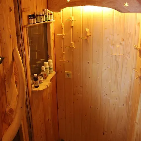 Appartement Loeffler Nassau-erzgebirge Frauenstein (Saxony)