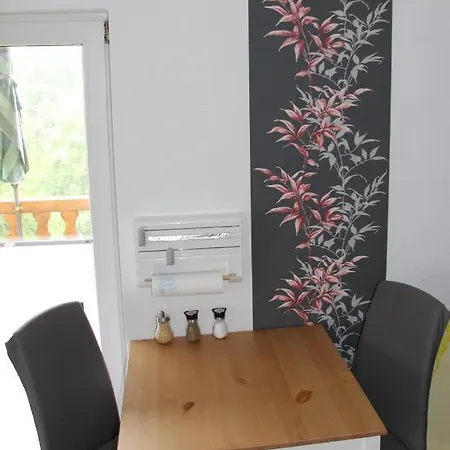 Appartement Loeffler Nassau-erzgebirge Frauenstein (Saxony)